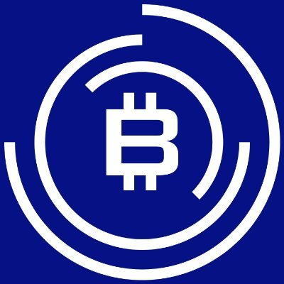 Bitcoin Meester logo